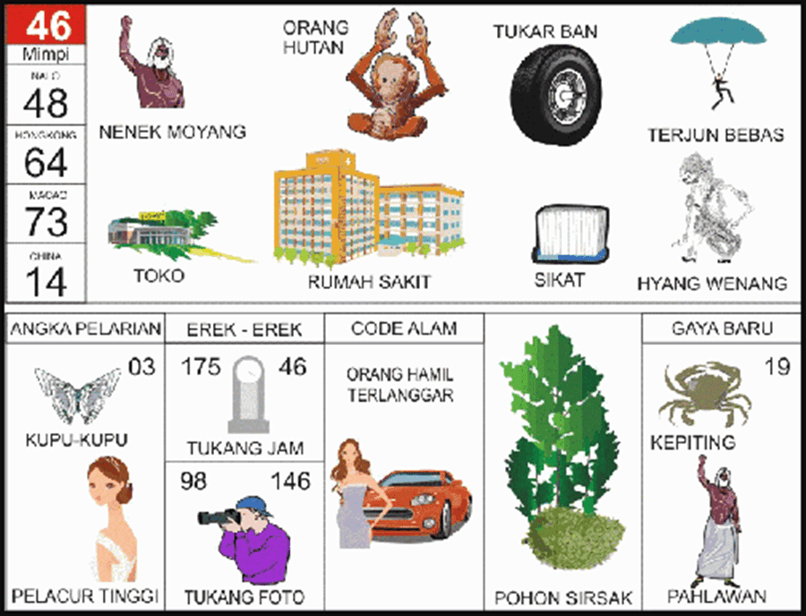 46. buku mimpi 2d bergambar orang hutan.png